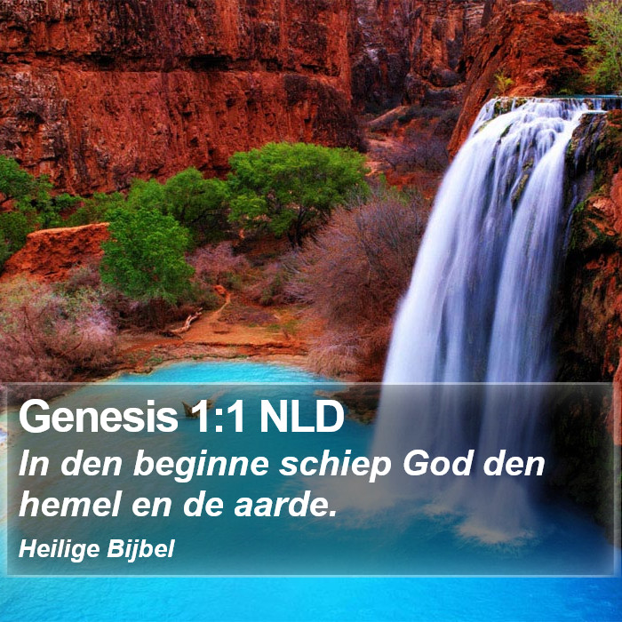 Genesis 1:1 NLD Bible Study