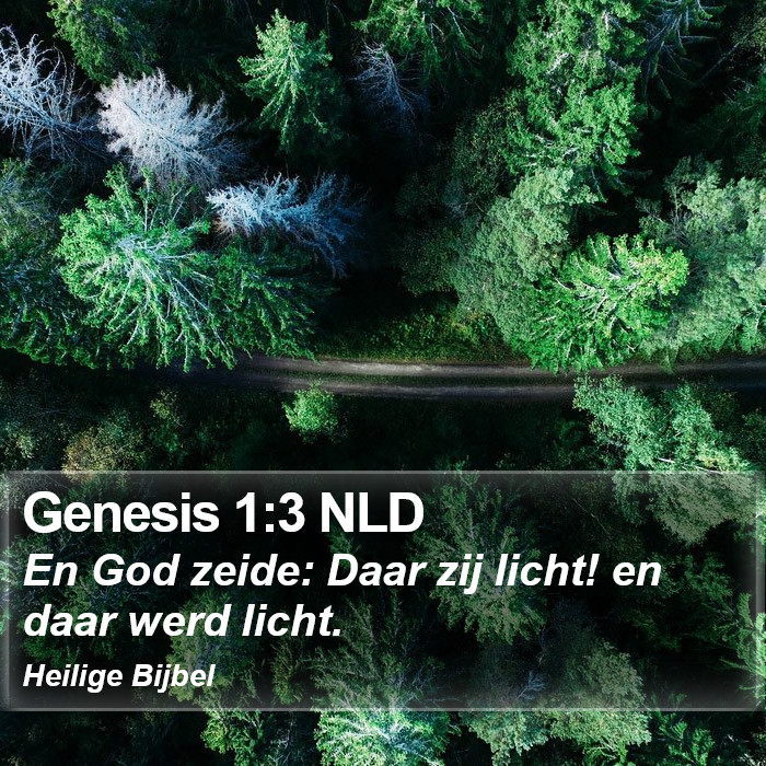 Genesis 1:3 NLD Bible Study