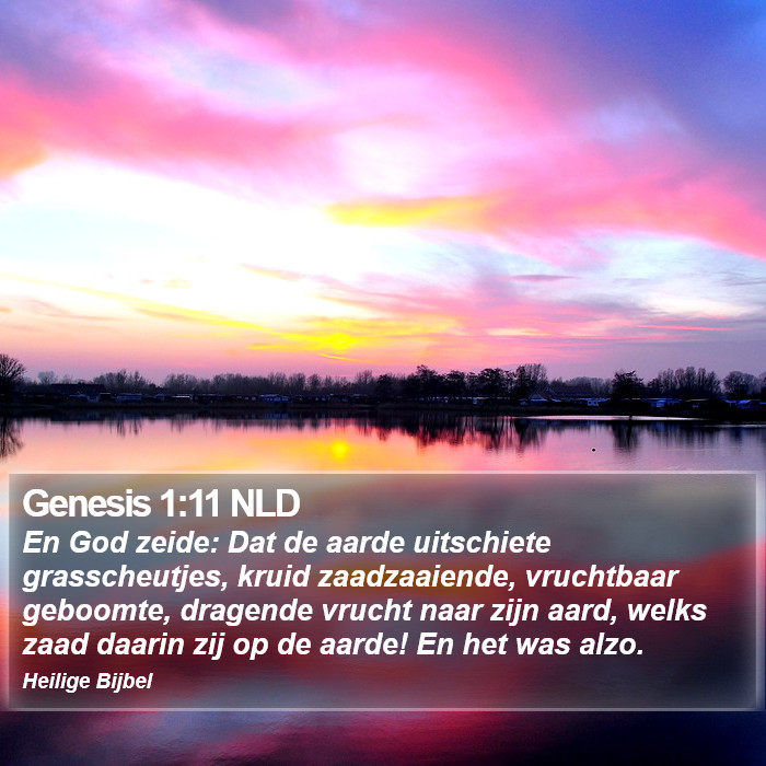 Genesis 1:11 NLD Bible Study