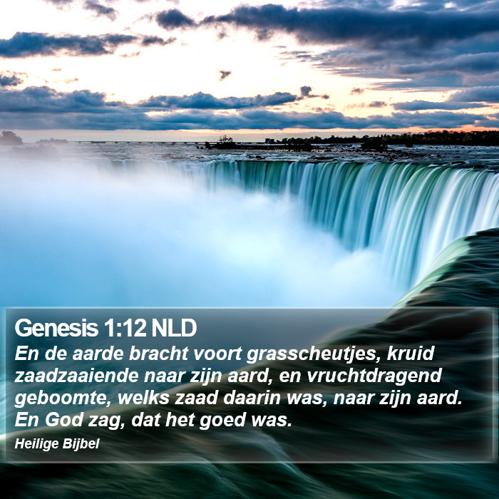 Genesis 1:12 NLD Bible Study