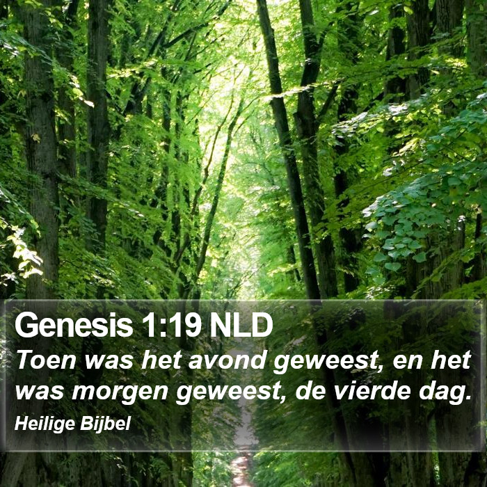 Genesis 1:19 NLD Bible Study