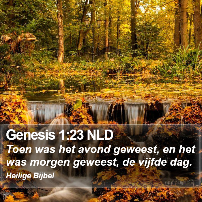 Genesis 1:23 NLD Bible Study