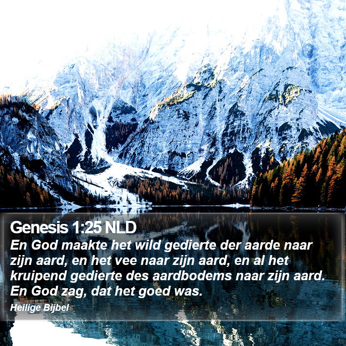 Genesis 1:25 NLD Bible Study