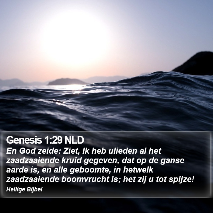 Genesis 1:29 NLD Bible Study