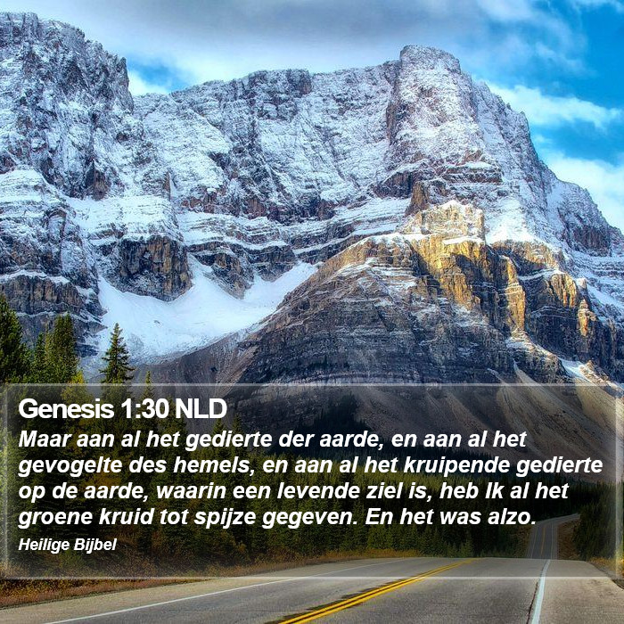 Genesis 1:30 NLD Bible Study