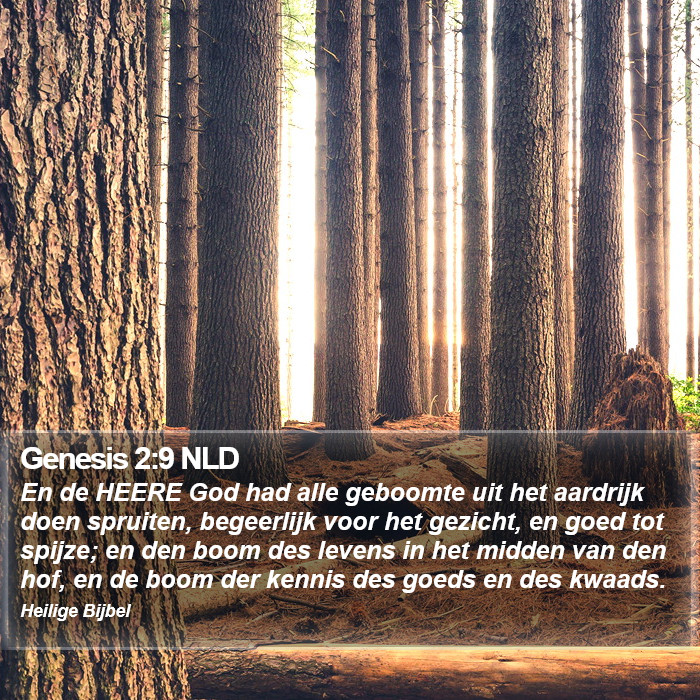Genesis 2:9 NLD Bible Study