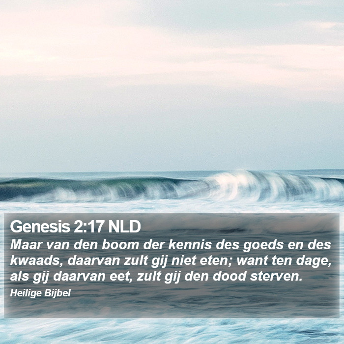 Genesis 2:17 NLD Bible Study