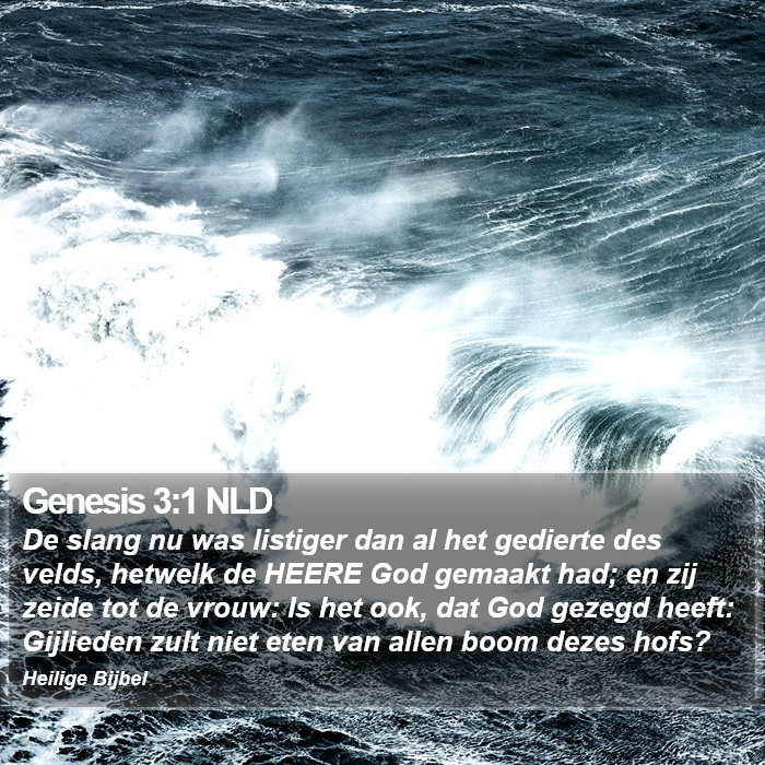 Genesis 3:1 NLD Bible Study