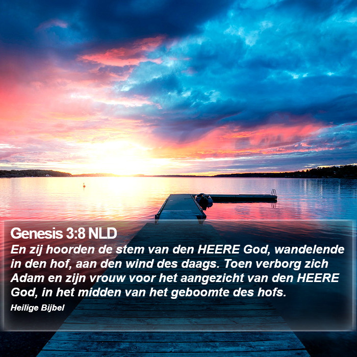 Genesis 3:8 NLD Bible Study