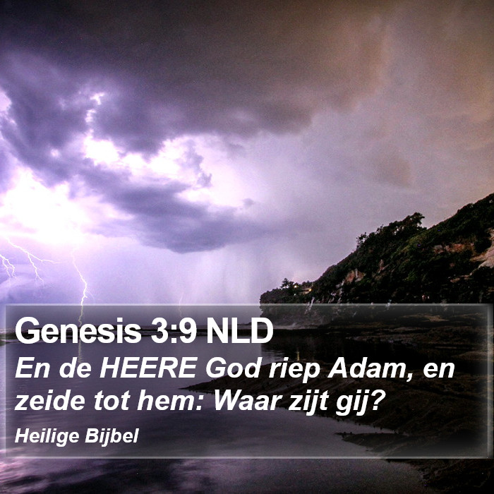 Genesis 3:9 NLD Bible Study