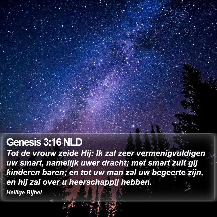 Genesis 3:16 NLD Bible Study