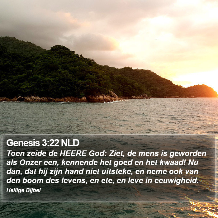 Genesis 3:22 NLD Bible Study