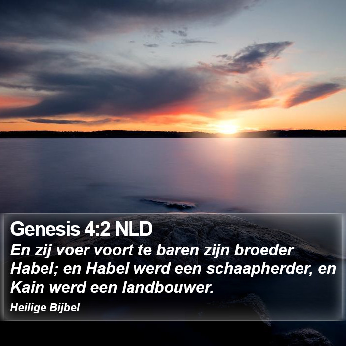 Genesis 4:2 NLD Bible Study