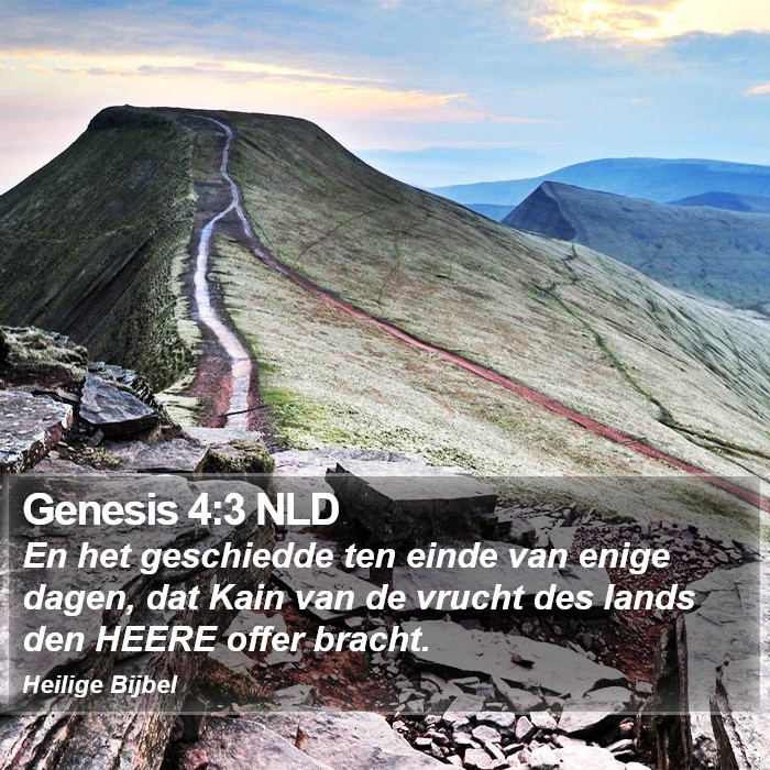 Genesis 4:3 NLD Bible Study