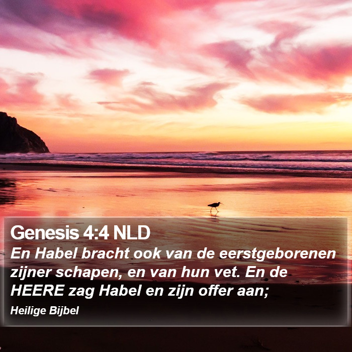 Genesis 4:4 NLD Bible Study