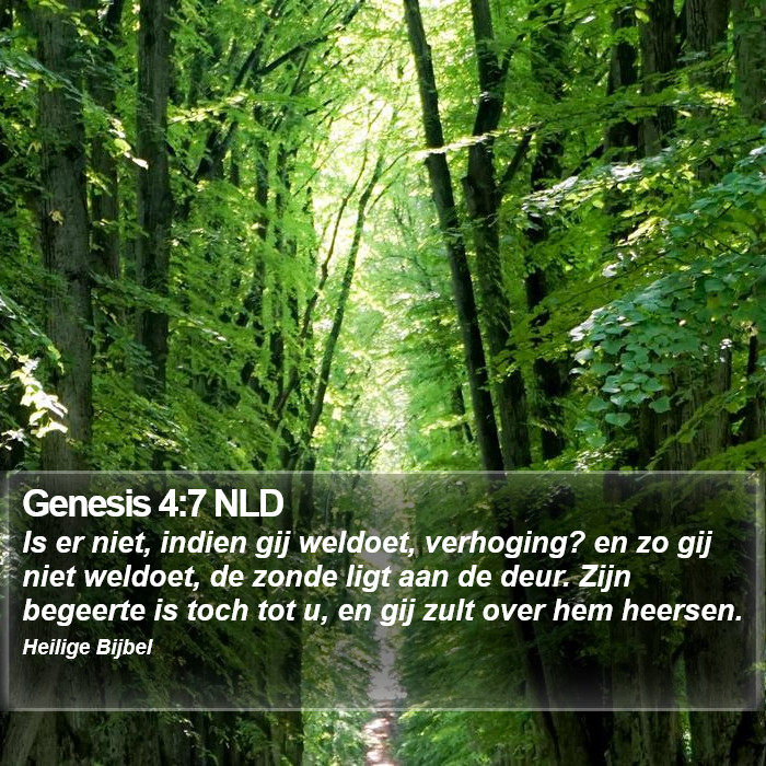 Genesis 4:7 NLD Bible Study