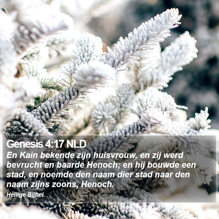 Genesis 4:17 NLD Bible Study