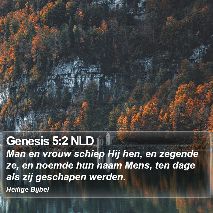 Genesis 5:2 NLD Bible Study