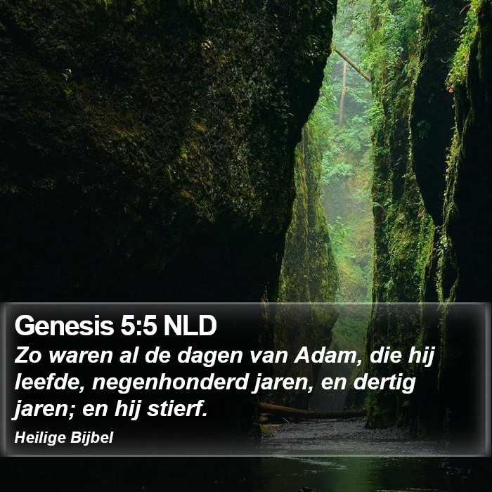 Genesis 5:5 NLD Bible Study