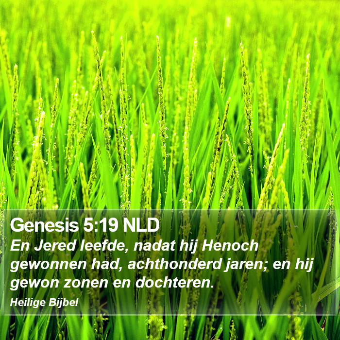 Genesis 5:19 NLD Bible Study