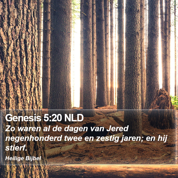 Genesis 5:20 NLD Bible Study