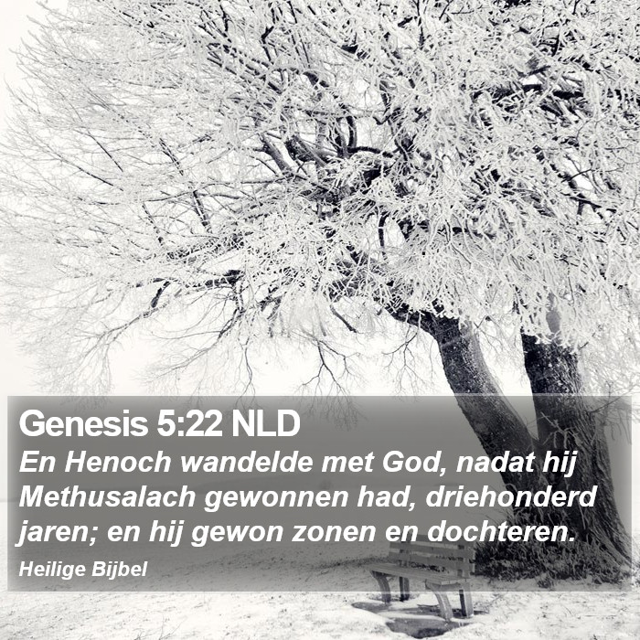 Genesis 5:22 NLD Bible Study