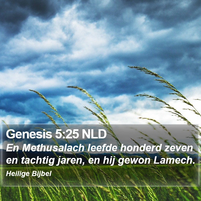 Genesis 5:25 NLD Bible Study