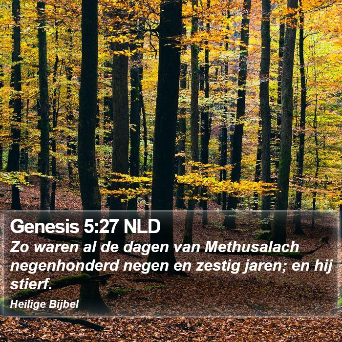 Genesis 5:27 NLD Bible Study