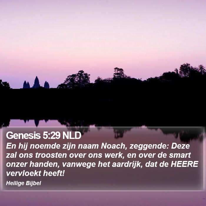 Genesis 5:29 NLD Bible Study