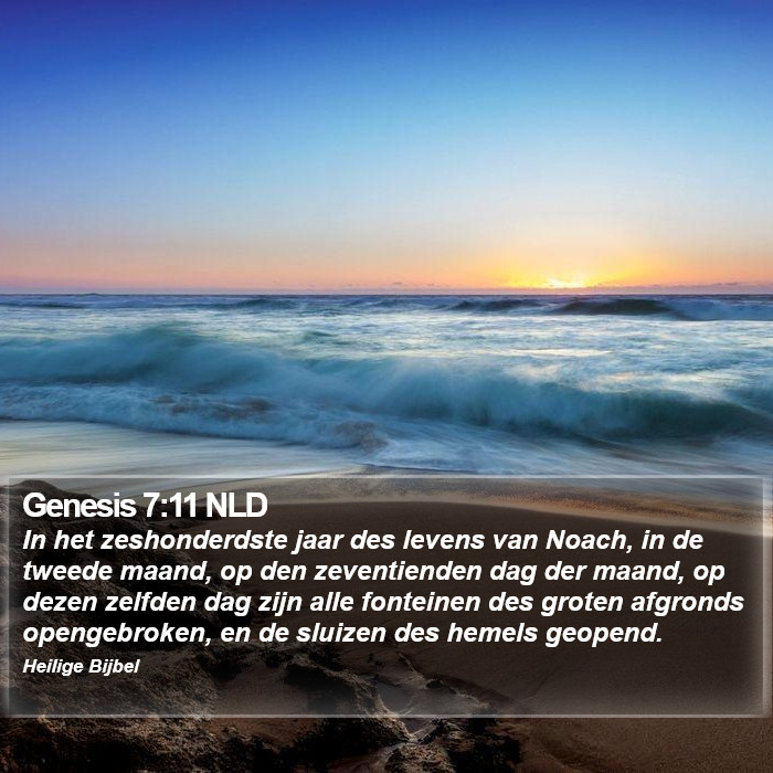 Genesis 7:11 NLD Bible Study