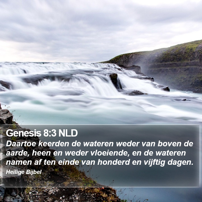 Genesis 8:3 NLD Bible Study