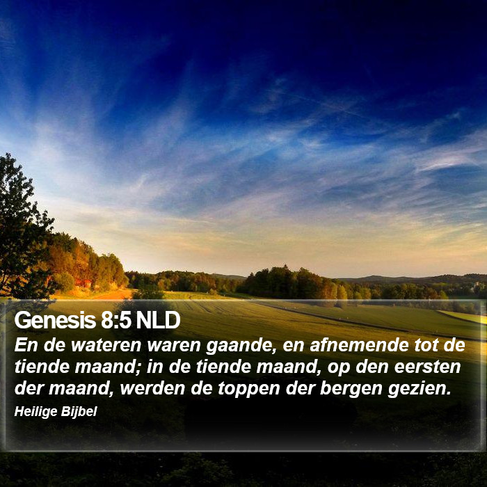 Genesis 8:5 NLD Bible Study
