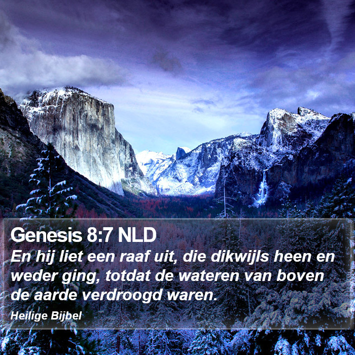 Genesis 8:7 NLD Bible Study