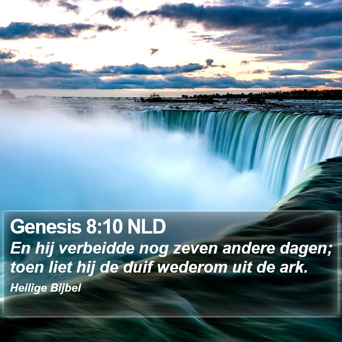 Genesis 8:10 NLD Bible Study