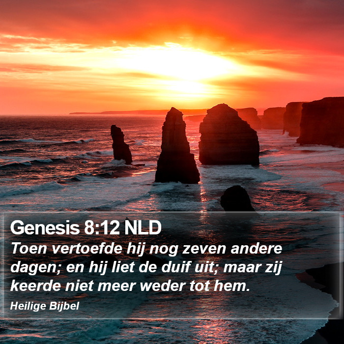 Genesis 8:12 NLD Bible Study