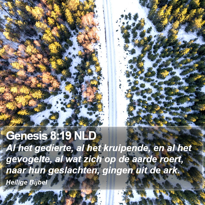 Genesis 8:19 NLD Bible Study