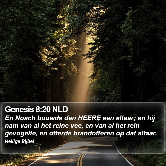 Genesis 8:20 NLD Bible Study