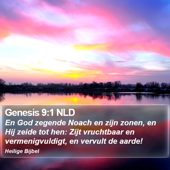 Genesis 9:1 NLD Bible Study