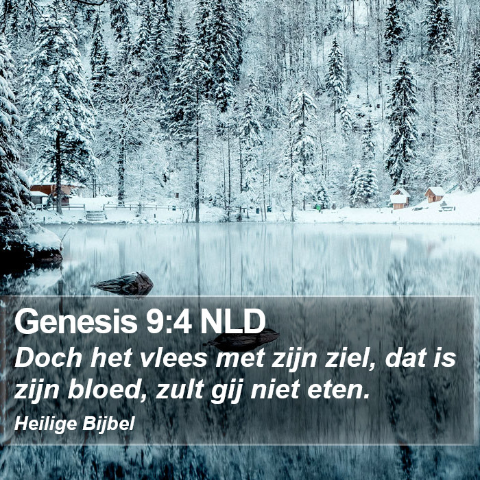 Genesis 9:4 NLD Bible Study