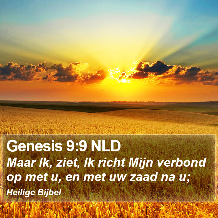 Genesis 9:9 NLD Bible Study