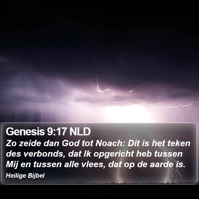 Genesis 9:17 NLD Bible Study
