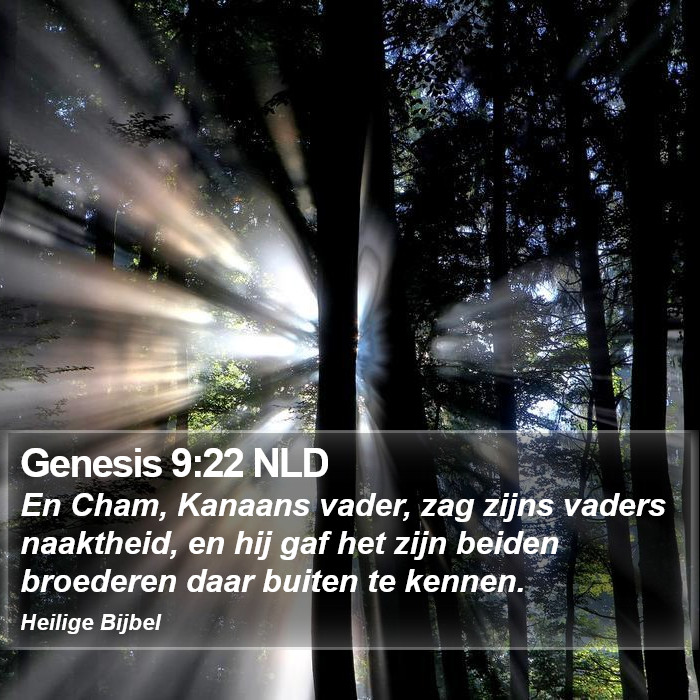 Genesis 9:22 NLD Bible Study