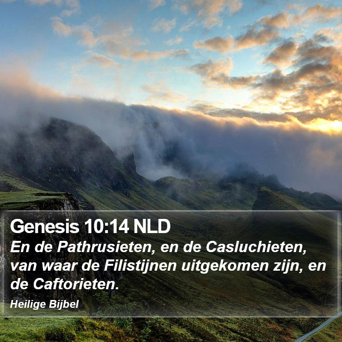 Genesis 10:14 NLD Bible Study
