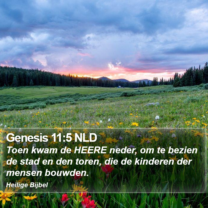 Genesis 11:5 NLD Bible Study