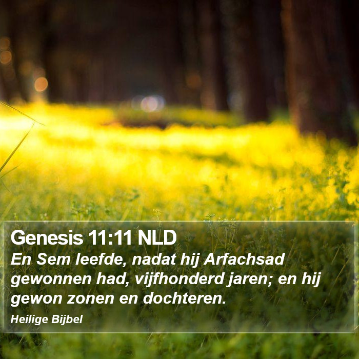 Genesis 11:11 NLD Bible Study