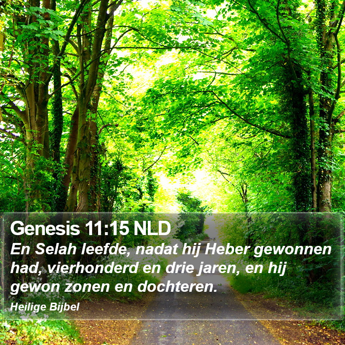 Genesis 11:15 NLD Bible Study