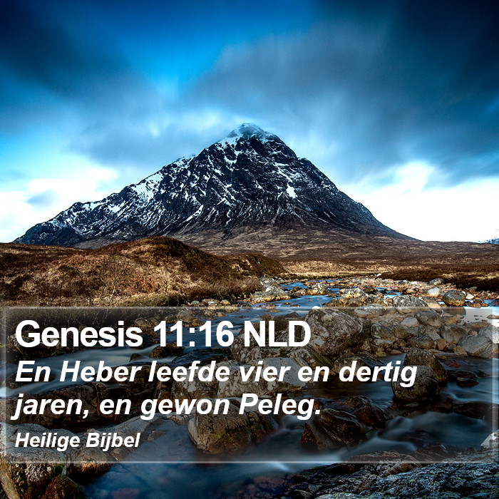 Genesis 11:16 NLD Bible Study