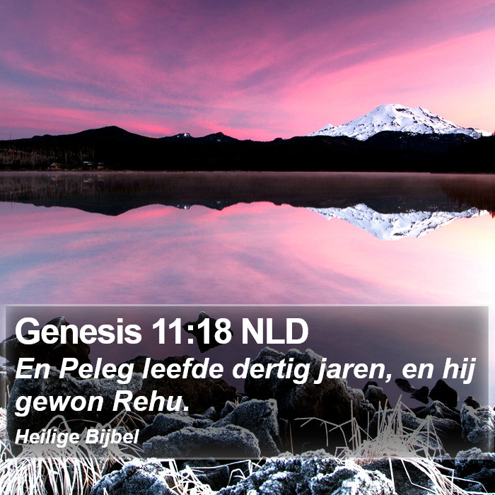 Genesis 11:18 NLD Bible Study