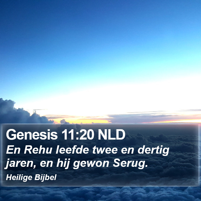 Genesis 11:20 NLD Bible Study