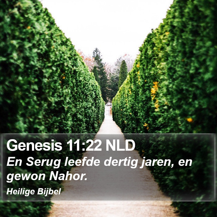 Genesis 11:22 NLD Bible Study